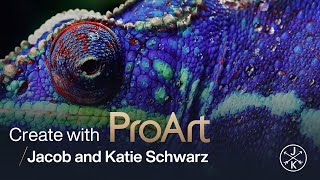 Create with ASUS ProArt  Film Directors  Jacob and Katie Schwarz [upl. by Osyth]