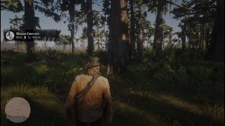 Red dead Redemption 2 chapter 6 Beaver Hollow Honor Amongest Thieves [upl. by Acired705]