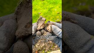 2 Easy Steps to Improve Clay Soil [upl. by Buskus]