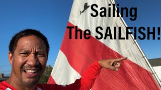 Sailfish Sailboat Sailing  The Boat that Started Sunfish Sailing [upl. by Varien]