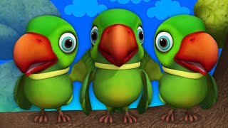 parrot playing video🦜  cute parrots video  parrota playing with toy  how parrots play with toys [upl. by Matthaus]