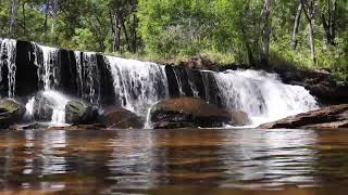 Macca amp Tania Stop At Isabella Falls [upl. by Roose10]