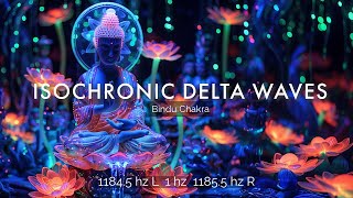 Unlock Your Souls Blueprint amp Higher Purpose  Pure Tone Isochronic Delta Wave 1185 hz [upl. by Marashio]