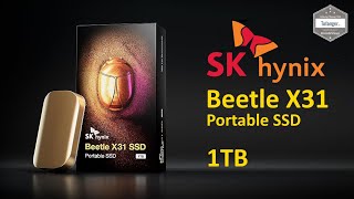 Its Finally Here  SK hynix P41 Platinum Review [upl. by Boffa]