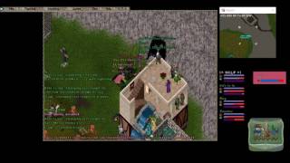 Ultima Online PvP  Trinsic Guard vs POWER [upl. by Field]