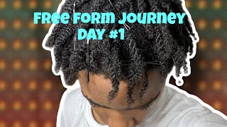 FREEFORM TWISTOUT METHOD JOURNEY pt1 [upl. by Trin550]