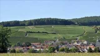 Filmphoto panoramique 2 par Michel Jolyot  Panorama presque interminable sur Cumières [upl. by Notsyrb]