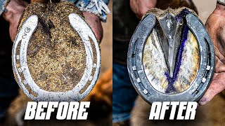 Satisfying Horse Hoof Restoration  4K ASMR [upl. by Tolman]