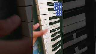 Rush E Piano tutorialpianomusicpiano Music from SheetMusicBoss [upl. by Chadd]