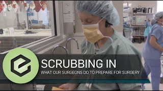 Scrubbing in How Veterinary Surgeons Scrub In For Each Surgery [upl. by Konyn195]