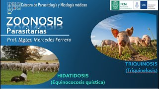 Zoonosis Parasitarias HidatidosisTriquinosis [upl. by Brindell]