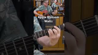 Apple Blossom Waltz Guitar Backup [upl. by Drawyah791]