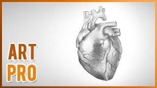 How to Draw a realistic HEART step by step [upl. by Ecinom]