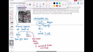 langerhans cell histiocytosis haematology 92 First Aid USMLE Step 1 in UrduHindi [upl. by Nrol]