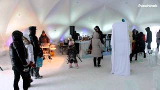 第53回旭川冬まつり 北海道旭川市 53th Asahikawa Winter Festival in Asahikawa Hokkaido [upl. by Assyla]