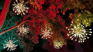 Fraser Hill Farm 2024 16In Prelit LED Starburst Decoration Set of 6 [upl. by Nahgiem]