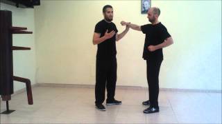 Wing Chun  Siu Nim Tao Tan sao jam sao tan sao [upl. by Bennir]