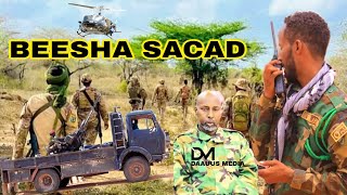 Dagaalkii sacad amp Alshabaab Siduu u dhacay amp AS oo isticmaalay Dhabar Jabin [upl. by Ennovad210]