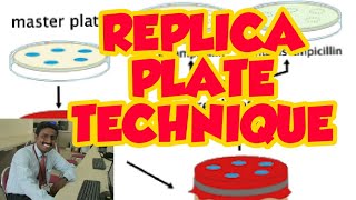 REPLICA PLATE TECHNIQUE  TAMIL EXPLANATION  SCREENING OF RECOMBINANTS  நகல் தட்டிடுதல் [upl. by Inahet]