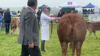 Castleblayney Show 2024  Overall Commercial Championship [upl. by Inar]