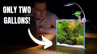 I Made a Mini DESK AQUARIUM Without a Filter Aquascape Tutorial [upl. by Eikcim]