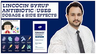 Lincocin Unleashing the Power of Lincomycin  Uses Dosage amp Side Effect  Antibiotic for Infection [upl. by Yecnahc]