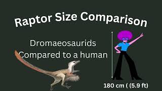 Raptor Dinosaur Size Comparison vs Human [upl. by Adlemy]