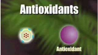 How antioxidants work [upl. by Bratton252]