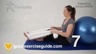 10 Best Exercises for Knee Arthritis Full Physio Sequence [upl. by Eseekram322]