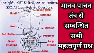 NMMS Exam class 8 Science Paper 2024 Related Questions  Digestive System [upl. by Bette970]