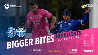 Highlights  Matchday 12  Avondale FC vs South Melbourne [upl. by Netram]