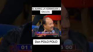 La hormiga de BIG brother saulbabyface humor tiktok comedia eneljale polopolo bigbrother [upl. by Eiro]