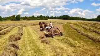 Its a HAY DAY  Draft Horses Haying amp Some CHANGES in our Horse Barn 511 [upl. by Maxentia]