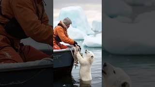 Tiny Polar Bears Heartwarming Rescue polarbearrescue wildlifeconservation arcticanimals [upl. by Saphra]