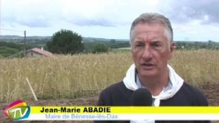 Fête du moulin à Bénesse Lès Dax 27 Juin 2016 [upl. by Arney]