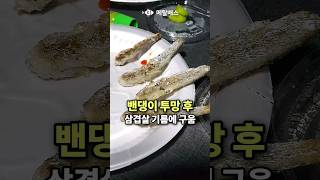 삼겹살 돼지기름에 밴댕이를 튀김구이 선녀바위해수욕장 바다투망 용유도 선녀바위해변 투망달인들 차박캠핑 밴댕이투망 전어투망 castnet fishing playpesca [upl. by Eedia138]