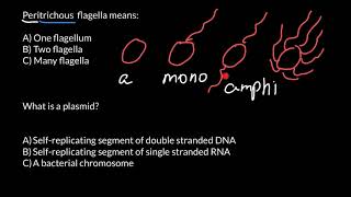 How to Memorize Names of the Different Types of Bacteria [upl. by Eenram]