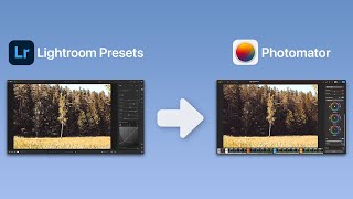 Transfer a Lightroom Preset to Photomator [upl. by Leveroni381]