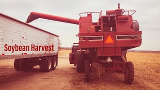 Soybean Harvest 2020 [upl. by Jerald]