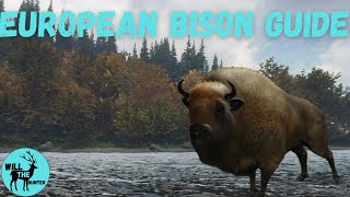 Hirschfelden European Bison GuideTheHunter Call Of The Wild 2023 Before TruRacs [upl. by Shargel]