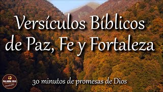 Versículos Bíblicos que te llenarán de Paz Fe y Fortaleza  Biblia hablada  Bible audio [upl. by Htenek]