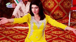 Madam Urwa Khan  Dhola Sanu Pyar Diyan Nashya  Shemail Private Mujra Party [upl. by Naid]