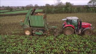 Fodder Beet Harvest 2019 [upl. by Desireah730]