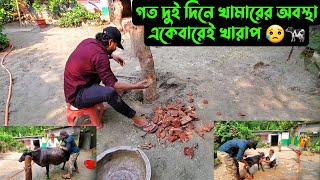 গত দুই দিনে খামারের অবস্থা একেবারেই খারাপ 😥🐄 [upl. by Ortrude]