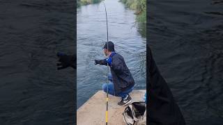 Single hook float fishing techniques Village fishing golcondaanglers fishing fish [upl. by Enavi576]