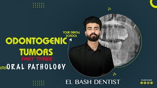 odontogenic tumors 3  last part  oral pathology  عزت شومان [upl. by Friedly]