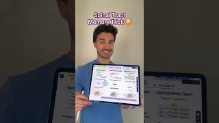 Spinal tract memory hack from my Neurology guide medschool medstudent usmle usmlestep1 step1 [upl. by Notgnimer352]