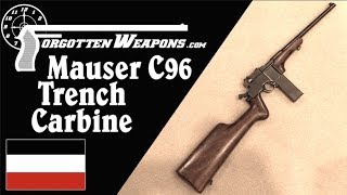 Prototype Mauser 1917 Trench Carbine [upl. by Ikceb]