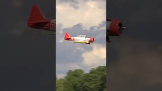 Giant Scale RC AT6 Texan’s MindBlowing Radial Engine Sound [upl. by Gaddi316]