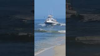 Dangerous Shoal In Point Pleasant Beach Is A Rare Sight To See [upl. by Liu86]